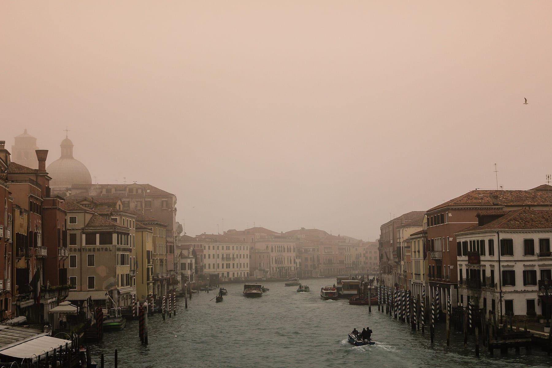 Gondolas moored in winter fog on a Venetian canal, with no queue on the bank